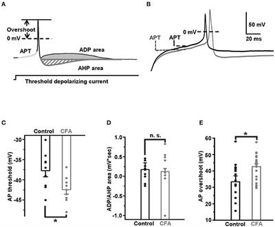 Peripheral Inflammation Results in Increased Excitability of Capsaicin-Insensitive Nociceptive DRG Neurons Mediated by Upregulation of ASICs and Voltage-Gated Ion Channels